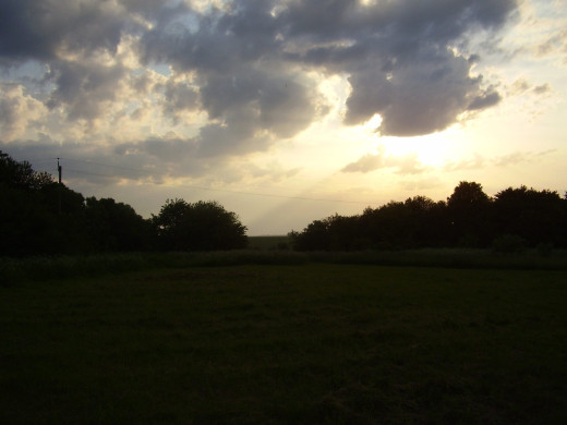 37031 (a): :1600x1200